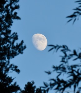 2012DSC_0040