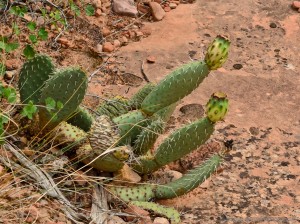 2012DSC_0076