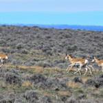 2013DSC_7601