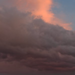 2013DSC_7981