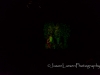 20140712DSC_8517