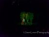 20140712DSC_8518