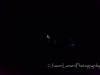 20140712DSC_8549
