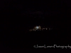 20140712DSC_8607