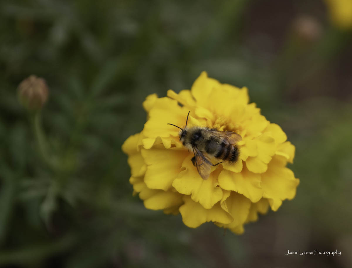 20260830-_DSC0973