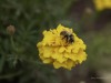 20260830-_DSC0966