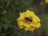 20260830-_DSC0973