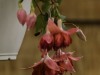 20260830-_DSC0984