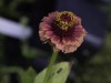 20260914-_DSC1376