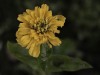 20260914-_DSC1378
