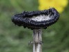 20260914-_DSC1384