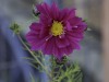 20260914-_DSC1395