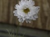 20260914-_DSC1401