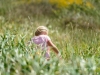 20160627DSC_0977
