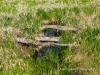20160530DSC_0676