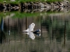 20160530DSC_0681