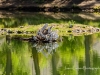20160530DSC_0682