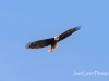 20160530DSC_0710