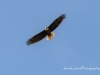 20160530DSC_0712