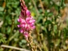 20160530DSC_0802