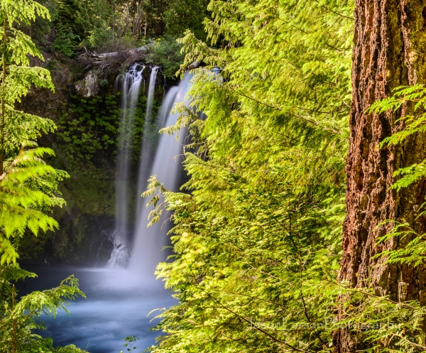 20160626DSC_0911-HDR