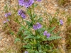 20140419DSC_5550