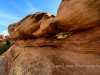 20140419DSC_5691