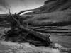 20140419DSC_5920