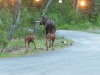 20260628-_DSC8239