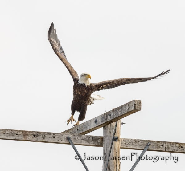 20140308dsc_3792