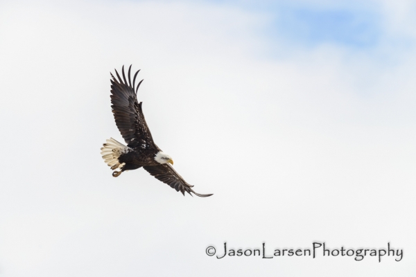 20140308dsc_3797