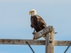 20140308dsc_3691