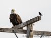 20140308dsc_3785