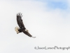 20140308dsc_3797