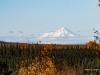 20250928-_DSC5184