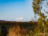 20250928-_DSC5186