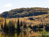 20250929-_DSC5211