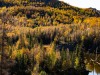 20250929-_DSC5213