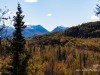 20250929-_DSC5215
