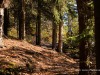 20250929-_DSC5230