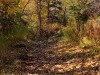 20250929-_DSC5291