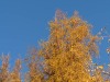 20250929-_DSC5294