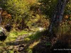 20250929-_DSC5303