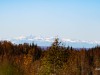 20250929-_DSC5306