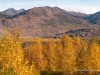 20250929-_DSC5318