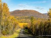 20250929-_DSC5322