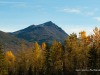 20250929-_DSC5323
