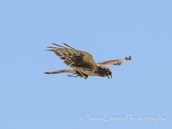 2013dsc_5035