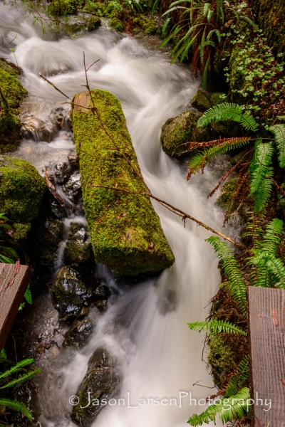 20140216dsc_2594
