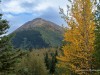 20250903-_DSC5061